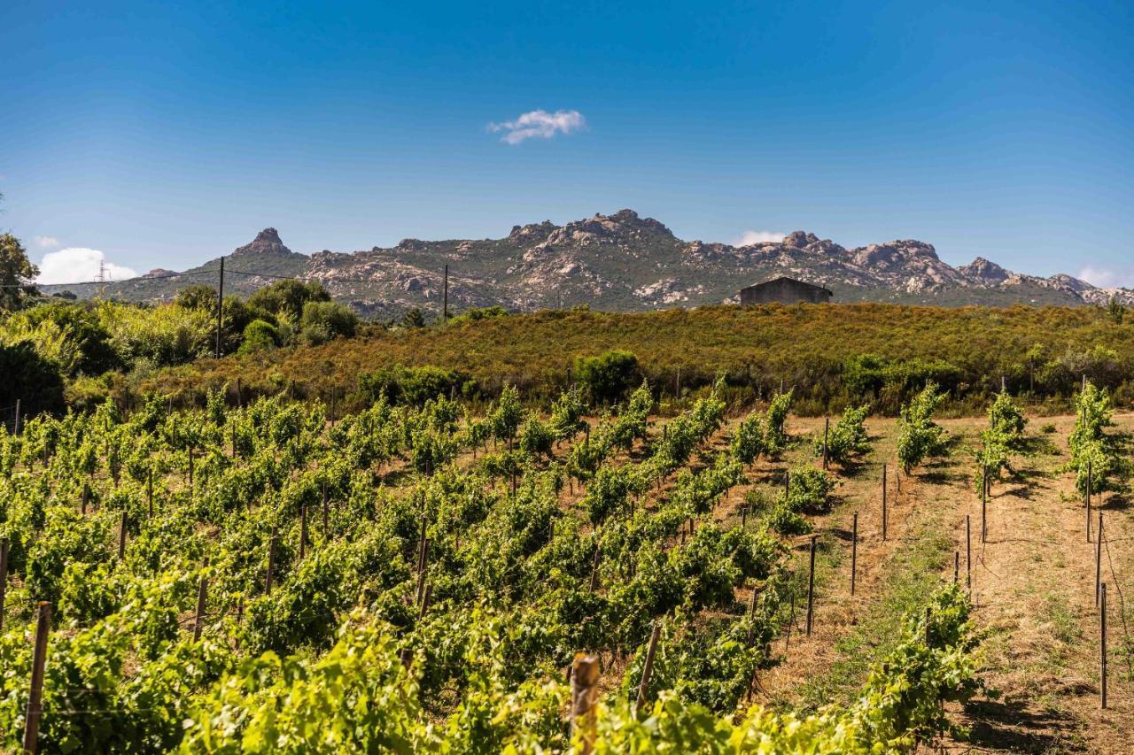 Locanda In Vigna Арцахена Екстериор снимка